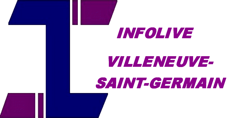 commercants et artisans de Villeneuve Saint Germain