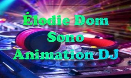 élodie dom sono animation dj villeneuve saint germain
